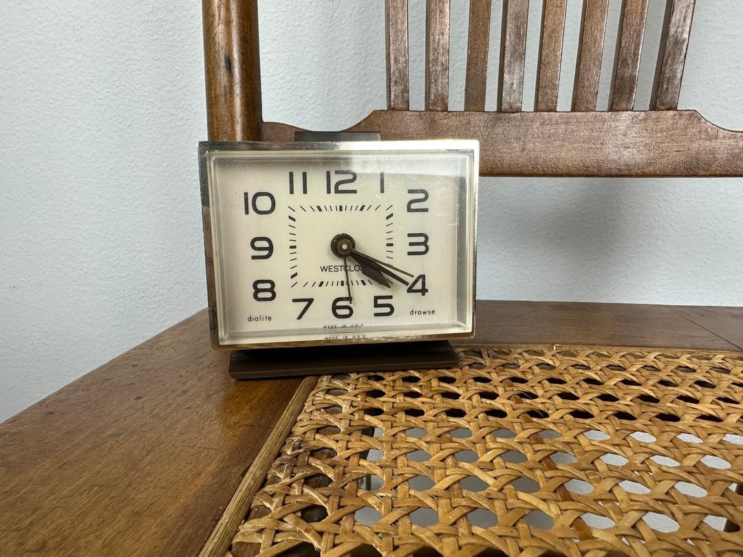 Vintage Westclox Electric Alarm Clock Desert Cactus Vintage