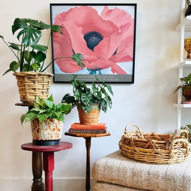 Framed O’Keeffe Red Poppy MET Exhibition Print