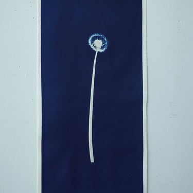 Dandelion Cyanotype on Watercolor Paper 10.75