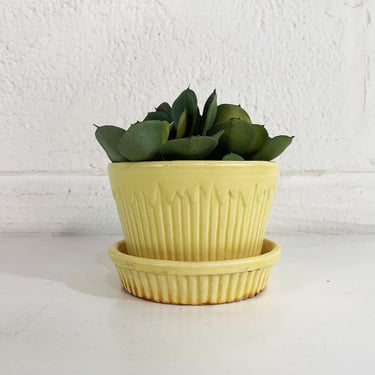 Vintage Morton Butter Yellow Icicle Planter Cream Frosted Attached Saucer Mid-Century Pottery Pot Made in the USA 1950s 