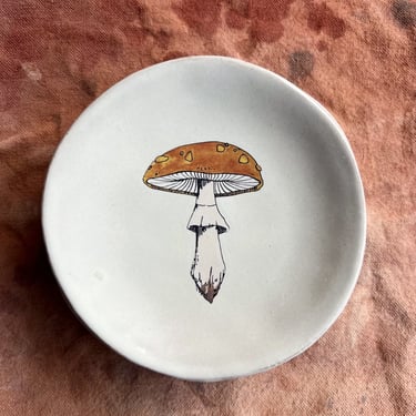 Mushroom Dish Collab with Lia Burke Libaire