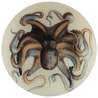 Octopus 11" Round Plate