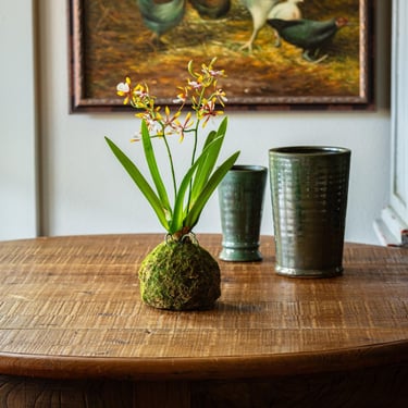 Small Vanda Orchid In Moss Ball Golden Amethyst, spring plants, European faux flower, table centerpiece, luxury flowers, coffee table floral 