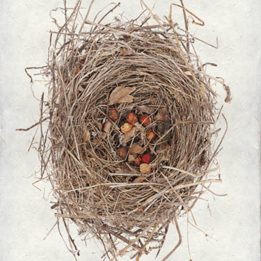 Red Berry Nest