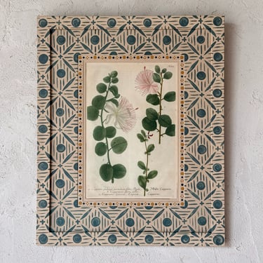 18th C. Weinmann Hand Colored Botanical Engraving in Gusto Blue Painted Frame VIII
