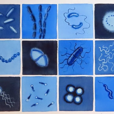Blue Bacteria  - original watercolor painting of microbes - microbiology art 