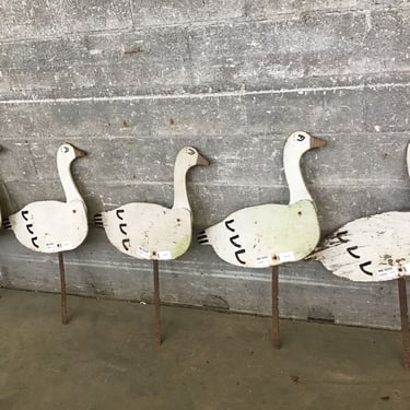 Waterfowl Decor (5 pc) (Seattle)