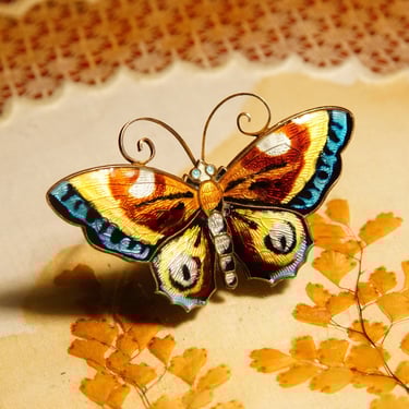 Vintage DA NORWAY S925 Guilloche Enamel Butterfly/Moth Brooch
