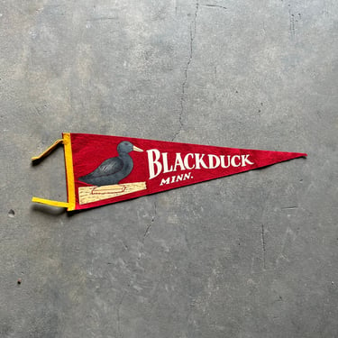 Vintage Blackduck Minnesota Felt Souvenir Pennant 