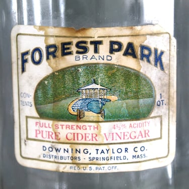 Antique Forest Park Cider Vinegar Bottle | 1 Quart Glass Bottle | Vintage Kitchen Decor | Vintage Springfield MA | Bud Vase 