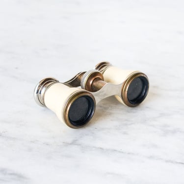 Bone and Brass Binoculars