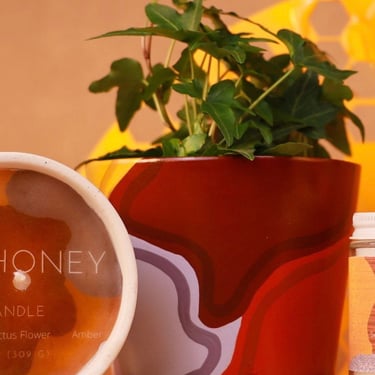 Planter Pot | Honey Design | 5” small pot 