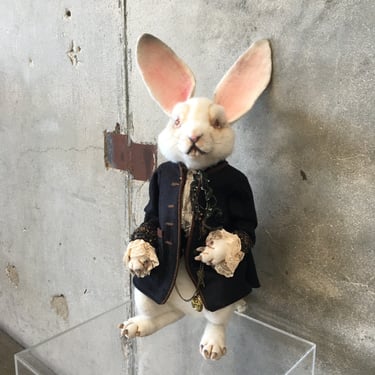 Custom Made White Rabbit from Wonderland w Acrylic Stand / Case -Hold