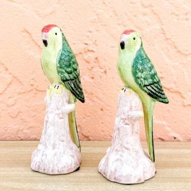 Pair of Adorable Italian Parakeets