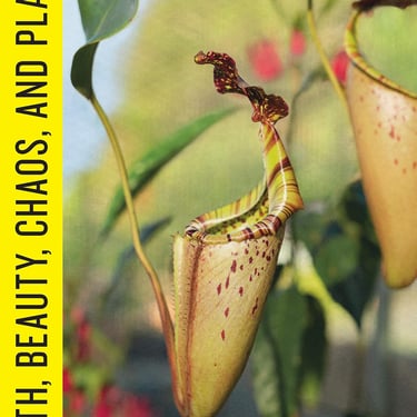 The Planthunter: Truth, Beauty, Chaos, and Plants | Georgina Reid
