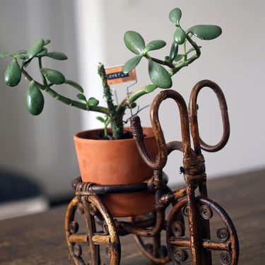 Vintage Bicycle Boho Planter 