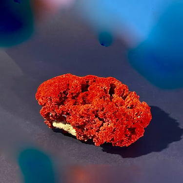 Great  Piece of Large Red Coral Very Decorative Displays well everywhere 