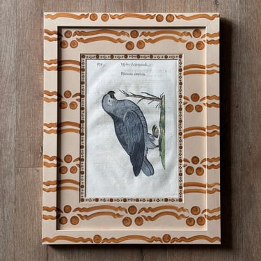 Aldrovandi Hand-Colored Bird Engravings in Gusto Painted Frame and Mat XIII
