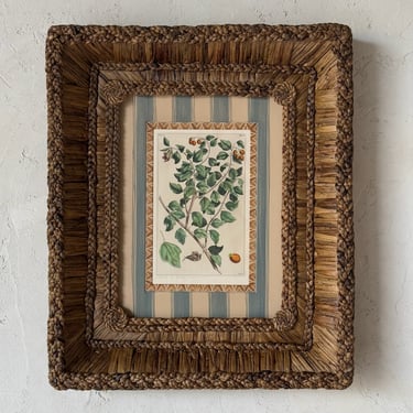 Gusto Woven Frame with 19th C. Rumpf Engraving IV