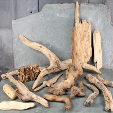 Driftwood Collection - Set of 15 Naturally Aged Driftwood Pieces Ranging from 15