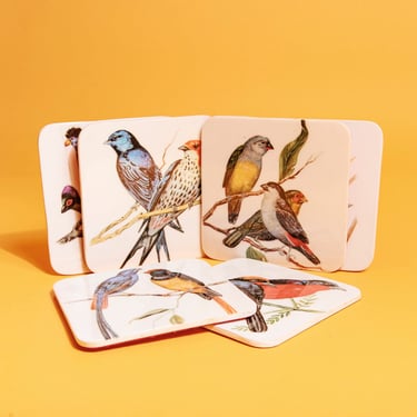 Set of 6 Vintage 70s White Colorful Wild Bird Illustration Laminated Lazer Cut Coasters 