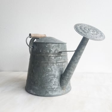 Vintage KIDS Galvanized Watering Can with Handle Child Size Watering Can Modern Farmhouse Garden Zinc Rustic Vase Gardening Greenhouse 