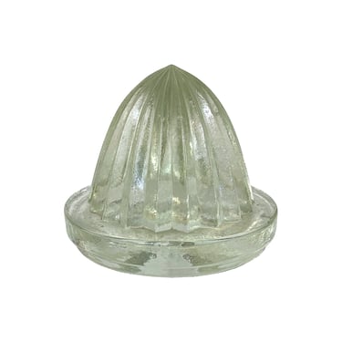 Industrial Glass Citrus Juicer Element