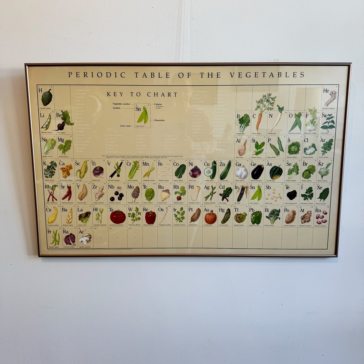 Periodic Table of the Vegetables | Carousel + Folk - Minneapolis, MN ...