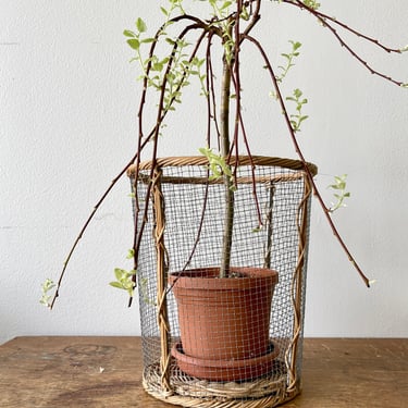 Wire Wood Wastebasket | Tall Wire Basket | Architect Storage Rolled Papers Rolled Maps | Plant Basket | Desk Trash Can | Cute Trash Can 