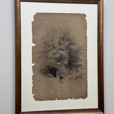 Antique Framed Sketch, Tattered Tree 