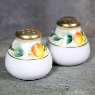 Small Country Kitchen Salt & Pepper Shakers | Ceramic Salt and Pepper Shakers with Cork Stoppers | Peaches and Flowers | Bixley Shop 