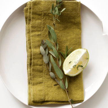 Linen Napkins Set of 2 | Moss Green