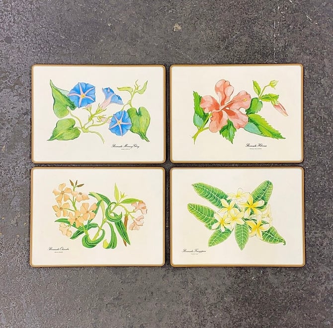 Vintage Pimpernel Placemats 1960s Retro Size 16x12 Mid Century Modern + Bermuda Flowers + Wood + Rectangular + England + Dining Table Decor 