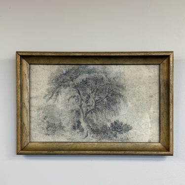 Antique Framed Sketch, Grand Tree 