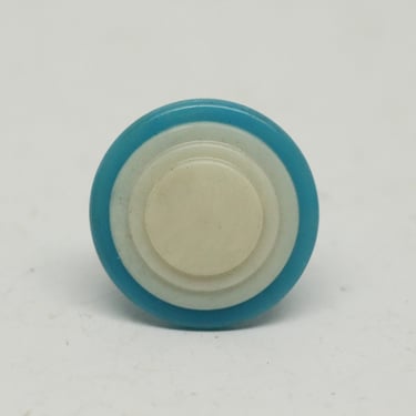 Vintage Blue & White 1 in. Round Plastic Drawer Cabinet Knob