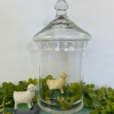 Vintage Small Apothecary Jar, Terrarium, Clear Glass Container With Lid 