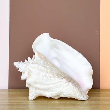 Cute Conch Shell Lamp