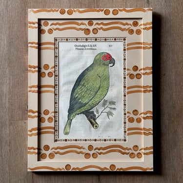 Aldrovandi Hand-Colored Bird Engravings in Gusto Painted Frame and Mat XI