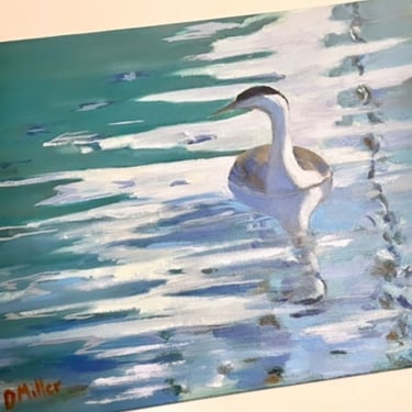 Debbie Miller Original Oil Painting “Western Grebe” 14” x 11” 