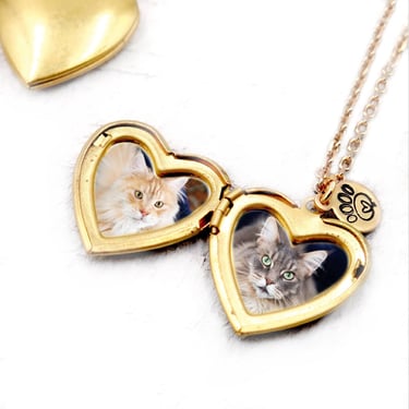 Heart Locket Necklace with Photos, Pet Photo Locket, Paw Print Jewelry, Memorial Locket Pet, Heart Jewelry Dog, Cat Locket 