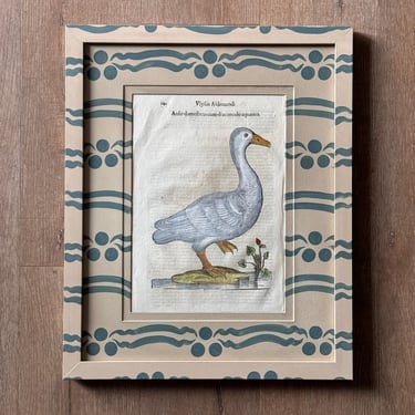 Aldrovandi Hand-Colored Aquatic Bird Engraving in Gusto Painted Frame and Mat I