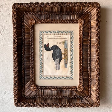 Gusto Woven Frame with Aldrovandi Hand-Colored Ornithological Engraving XVI