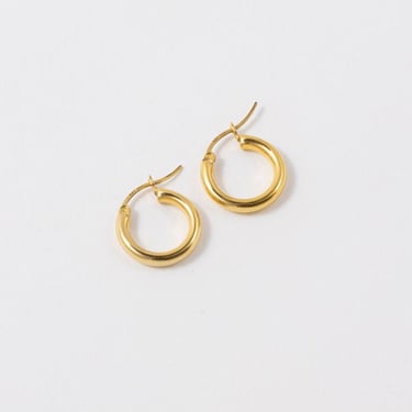 ARO Small Chubby Hoop Earrings