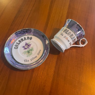 Colorado Columbine Silver Leaf State collector Tea Cup and Saucer Set 1950s vintage 