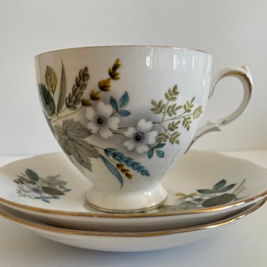 Queen Anne Tea Cup Set - Ridgway Potteries Ltd. - Brown and Blue Floral Design 