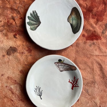 Set of Shell Plates Collab with Lia Burke Libaire