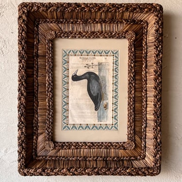Gusto Woven Frame with Aldrovandi Hand-Colored Ornithological Engraving XVII