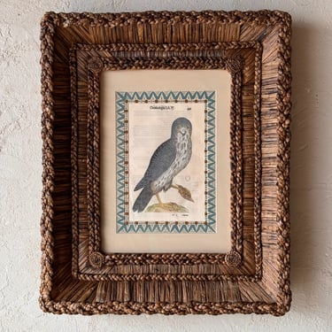 Gusto Woven Frame with Aldrovandi Hand-Colored Ornithological Engraving XLV