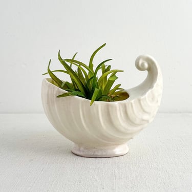 Vintage ceramic shell planter, Small Off-White Air Plant or Succulent Holder 