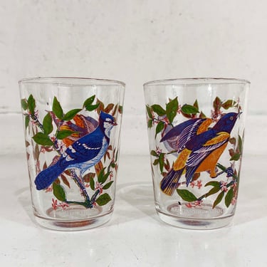 Vintage Juice Glasses Set of 2 Pair Arcoroc France Blue Jay Baltimore Oriole Bird Drinkware Dopamine Decor French Glassware 